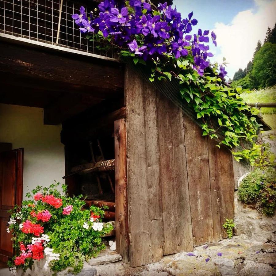 Ferienwohnung Maso Drigo San Nicolo di Comelico Exterior foto