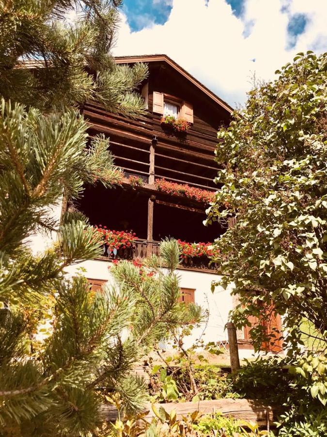 Ferienwohnung Maso Drigo San Nicolo di Comelico Exterior foto